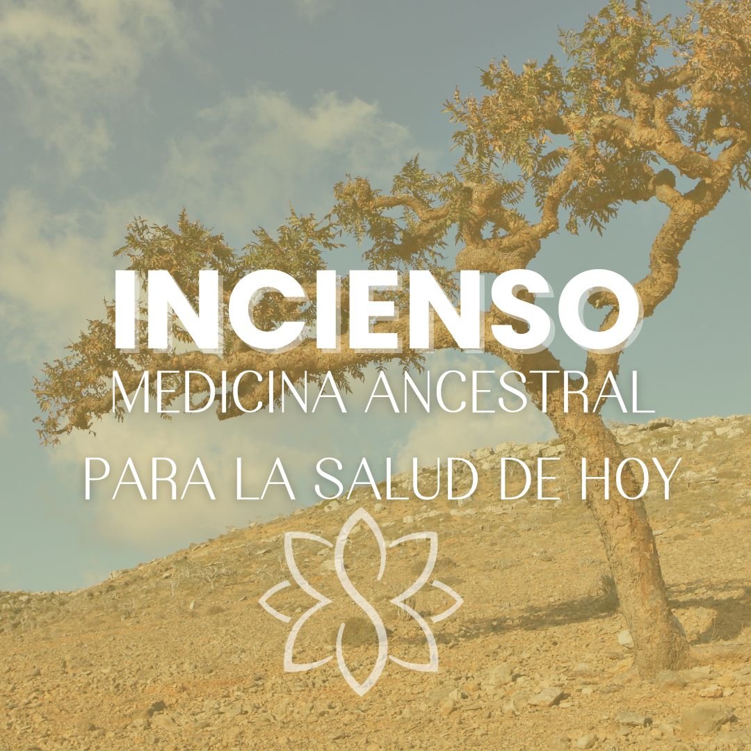 Incienso: Medicina Ancestral para la Salud de Hoy